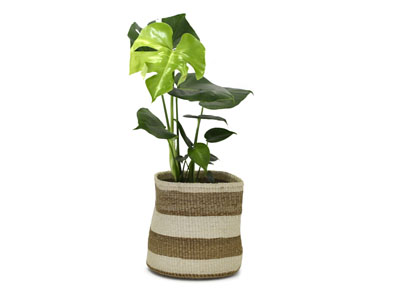 Kenyan Planter Basket - Natural #7